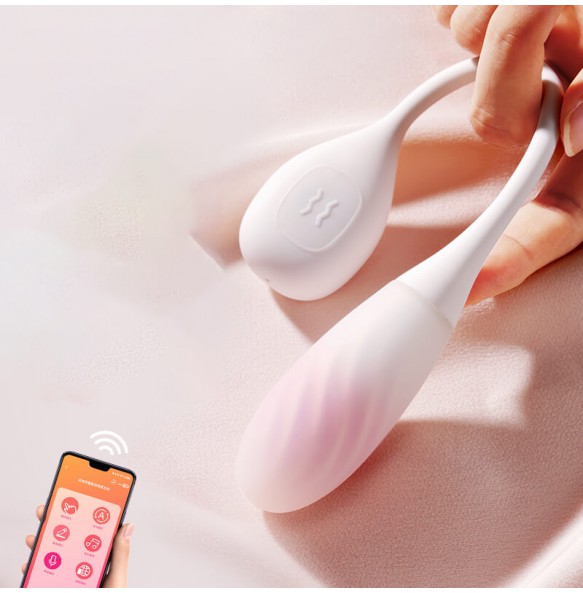 USA - SVAKOM Liu Xin Vibrating Egg Smart APP Model (Chargeable - Pink)